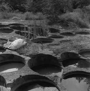 Holes left by pulp stone removal